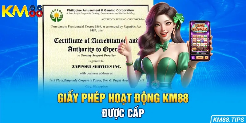Các loại giấy phép hoạt động của KM88